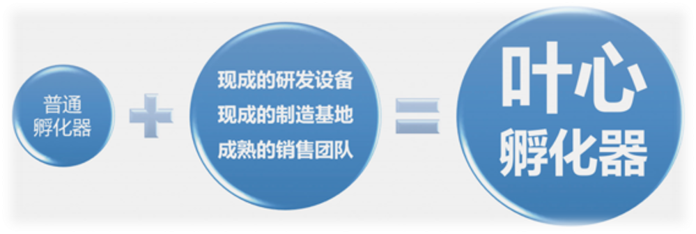 叶心孵化器:助力您实现创业梦